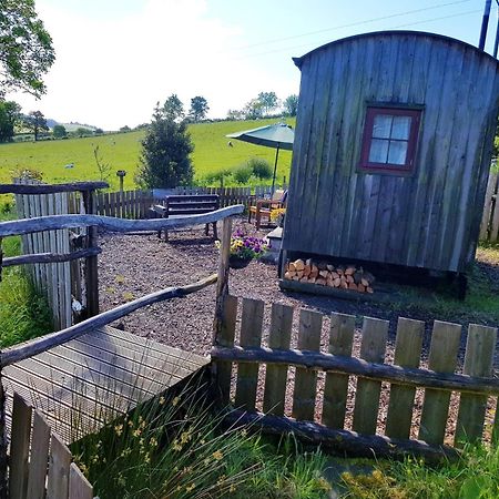 Eco Accommodation Cornflower Holiday Craven Arms Bagian luar foto
