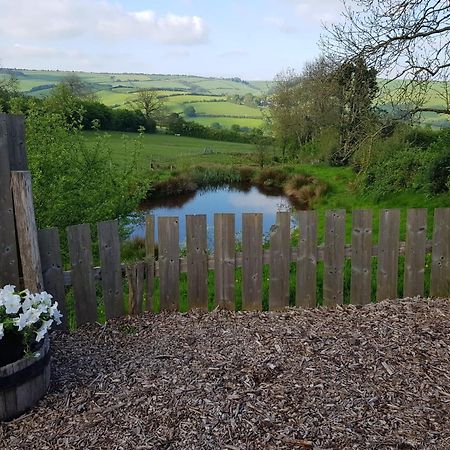 Eco Accommodation Cornflower Holiday Craven Arms Bagian luar foto