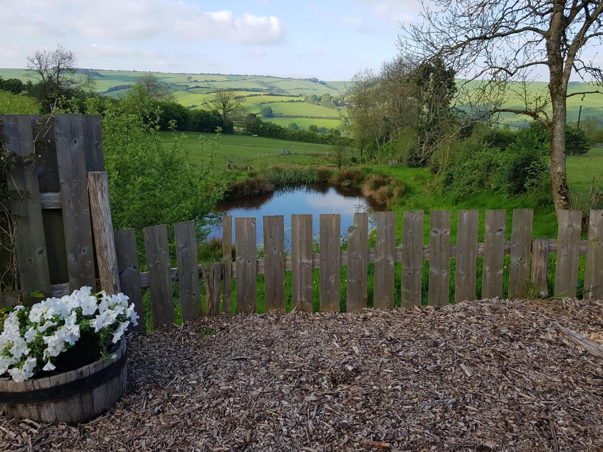 Eco Accommodation Cornflower Holiday Craven Arms Bagian luar foto